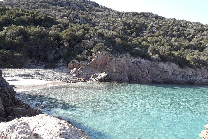 PREMIUM catamaran excursion archipelago of La Maddalena - Who should book this day on the water?