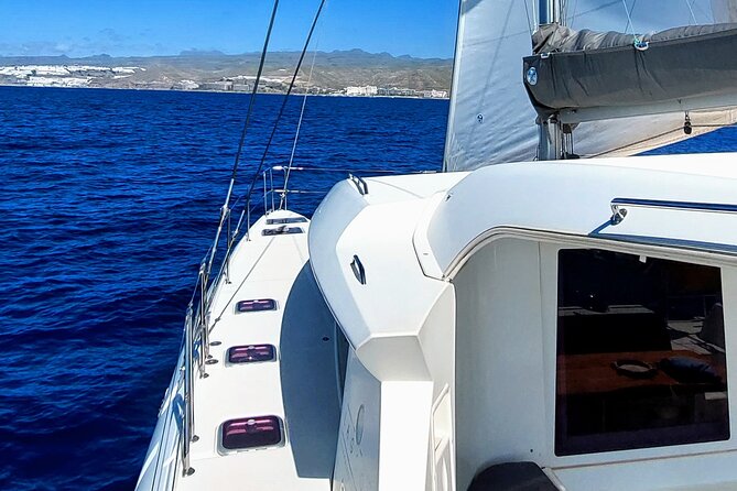 Private 5 hour catamaran cruise in south of Gran Canaria - Who gets the most from this cruise