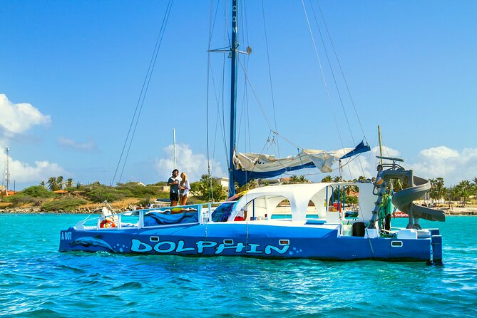 Private Catamaran Adventure Cruise with Rope Swing and Water Slide - Colorful fish at shallow Boca Catalina Bay
