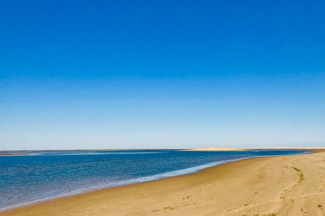 Private Catamaran Boat Tour - Ria Formosa - Annie, Local Advice, and the Human Side of the Trip