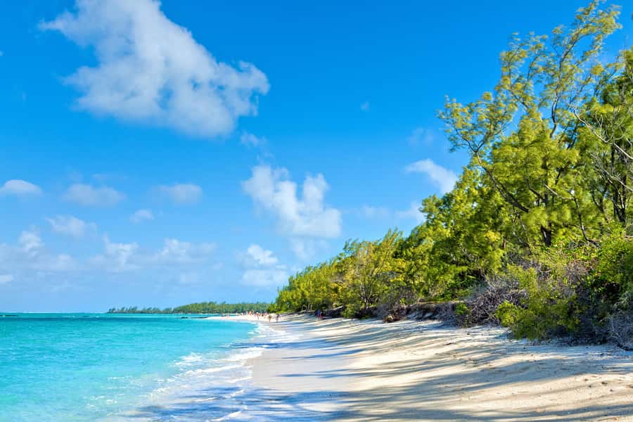 Private Catamaran Charter to Ile aux Cerfs - Who will enjoy this catamaran day most