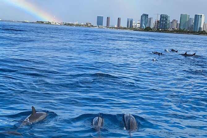 Private Catamaran Cruise and Snorkeling Tour in Honolulu - Who will get the most from this charter