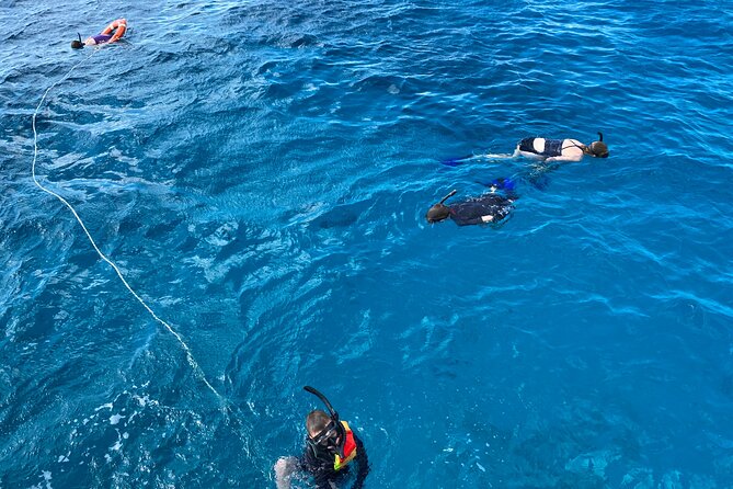 Private Catamaran Cruise and Snorkeling Tour in Honolulu - Booking, cancellation, and practical details