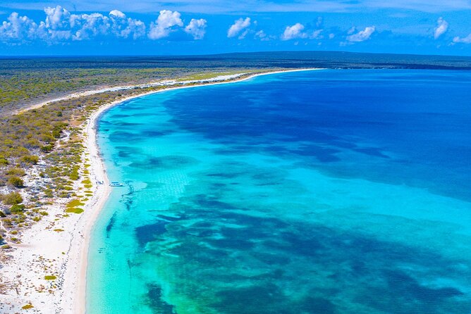 Private Catamaran Cruise to Bahia de las Aguilas - Who will enjoy this private cruise most