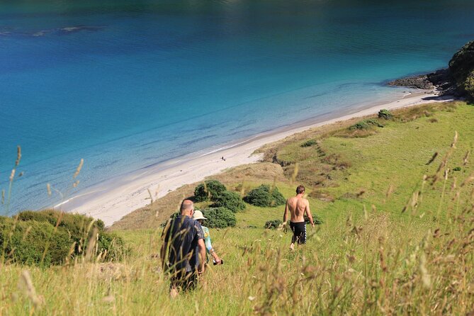 Private Catamaran Full Day Sailing Charter | Bay Of Islands - Weather, cancellations, and practical planning
