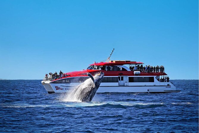Private Catamaran Hire on Sydney Harbour - Why the private format matters