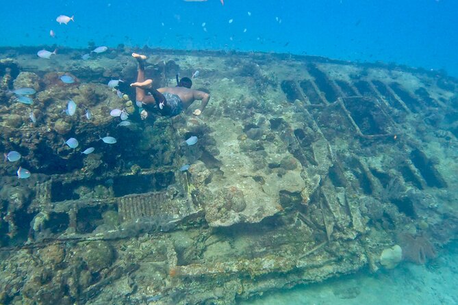 Private catamaran sail & snorkel - Why this private Barbados cruise feels different