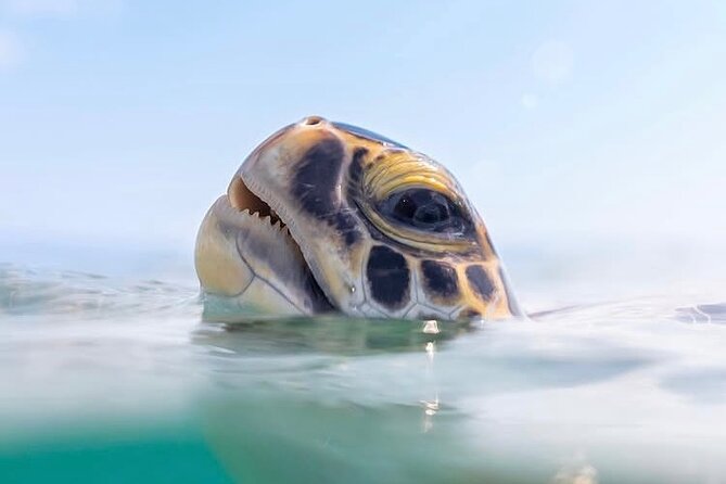 Private catamaran sail & snorkel - A guide-led trip that can adjust to your group