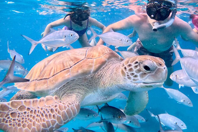 Private catamaran sail & snorkel - Picking between the catamaran and Fishful Thinking