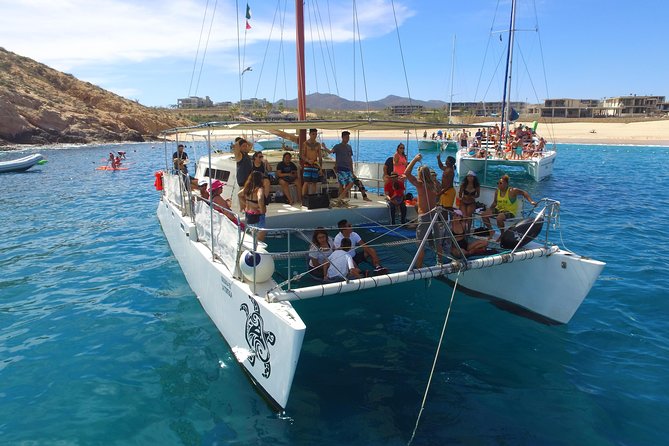 Private Catamaran Snorkeling Cruise in Los Cabos - Sea lions and wildlife along the way