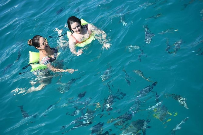 Private Catamaran Snorkeling Cruise in Los Cabos - Timing, weather, and cancellation rules