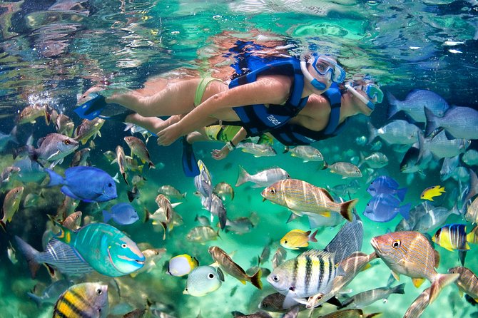 Private Catamaran Snorkeling Family Adventure - What to confirm before you book
