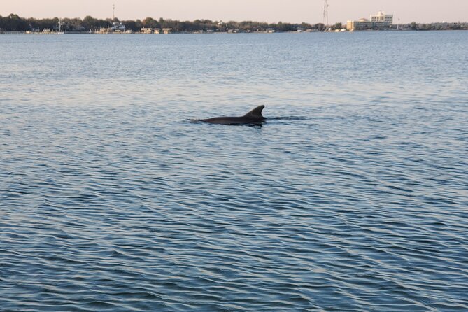 Private Catamaran Sunset Cruise with Dolphin watching - Practical details before you book