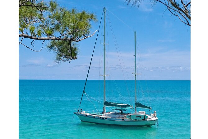 Private Catamaran Swim sail snorkel cliff jumping SUP - What the crew adds to the experience