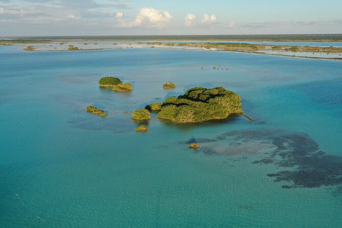 Private Catamaran Tour - Three cenotes that feed the lagoon