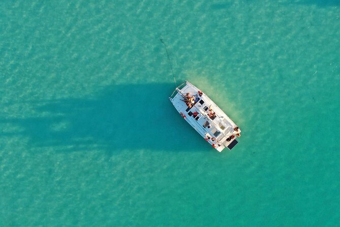 Private Catamaran Tour - Fruit, guacamole, beer, and natural drinks