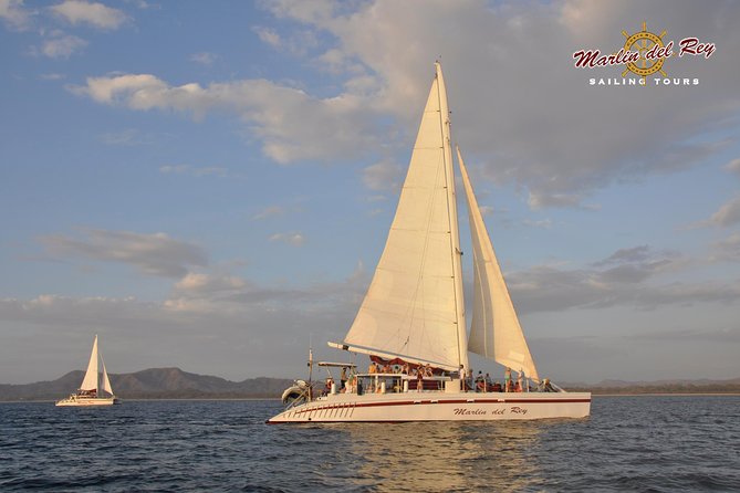 Private Catamaran Tour on Marlin del Rey - The ride out, with wildlife watching along the way