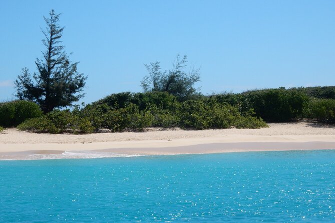 Private Full-Day Catamaran Sailing Charter in St Maarten - A Hot Barbecue Lunch With an Open Bar