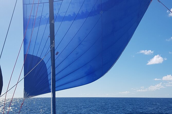 Private Full-Day Catamaran Sailing Charter in St Maarten - Why the $2,800 Group Price Can Make Sense