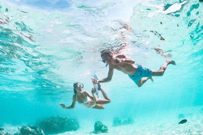 PRIVATE Full Day Tour : Moorea Snorkeling & Sailing on a Catamaran named Taboo - What is included, and what you should pack
