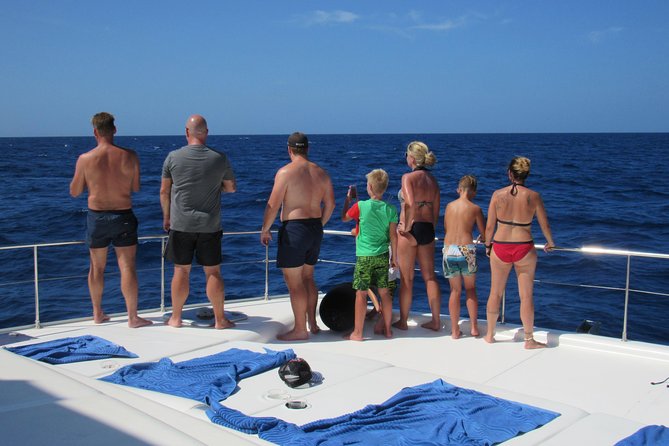 Private Luxury Catamaran Cruise in St. Lucia - Dolphins, whales, and the chance factor