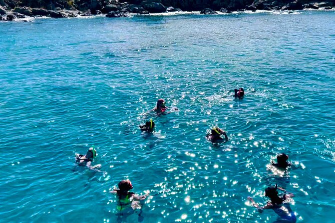 Private Luxury Catamaran Half Day Charter - Turtle Cove at Buck Island National Wildlife Refuge