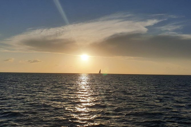 Private Luxury Catamaran - Saona or Catalina island - Snorkeling, swimming, and changing sea conditions