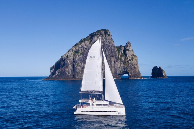 Private Luxury Sailing Catamaran Charter in the Bay of Islands - Wildlife, fishing, and the Sea Biscuit