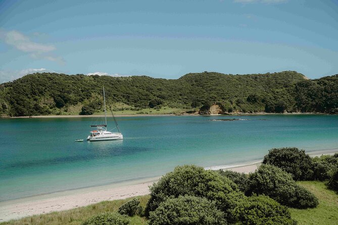 Private Luxury Sailing Catamaran Charter in the Bay of Islands - Timing, pickup, and weather planning