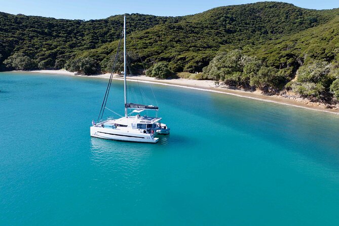 Private Luxury Sailing Catamaran Charter in the Bay of Islands - Who will enjoy this sailing day most?