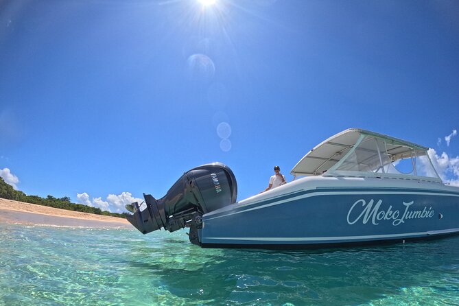 Private Power Catamaran Adventure in Saint Kitts and Nevis - A private way to connect St. Kitts and Nevis