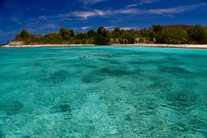 Private Power Catamaran. Secluded Beaches, Snorkeling, Turtles for Full/Half Day - Is $1,050 a good value?