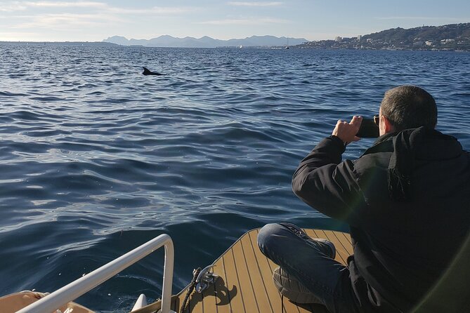 Private Solar Catamaran Cruise in Antibes Juan les Pins - Port Abri de l’Olivette and the older fishing coast