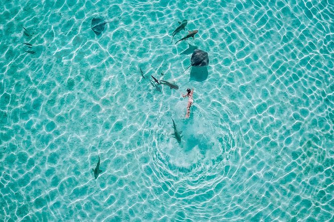 PRIVATE Sunset Tour: Moorea Snorkeling on a Catamaran named Taboo - Price and value for a private group
