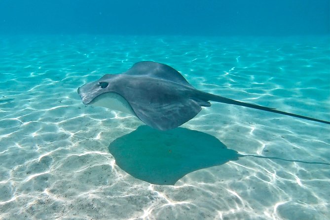 PRIVATE Sunset Tour: Moorea Snorkeling on a Catamaran named Taboo - Who will enjoy this outing most