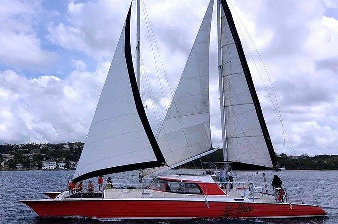 Private Tour: Barbados Catamaran Snorkeling Cruise - What the $3,210 price means for your group