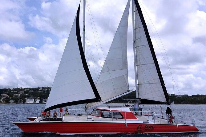 Private Tour: Barbados Catamaran Snorkeling Cruise - Who will enjoy El Tigre most