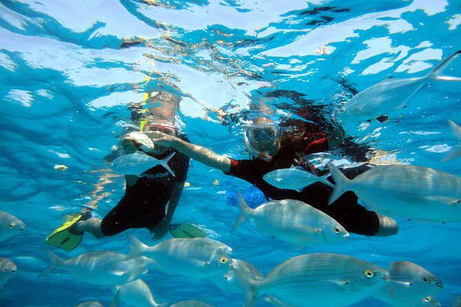 Private trips to Lobos Island in Catamaran Lagoon 421 - Lobos Island and the Clear Water Anchorage