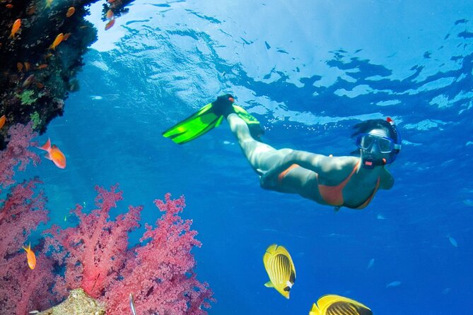 Puerto Morelos Catamaran Reef Sail and Snorkel - Puerto Morelos National Marine Park and the reef swim