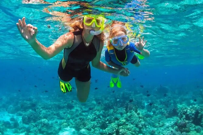Puerto Plata Catamaran Cruise with Snorkeling, BBQ & Open Bar - Who will enjoy this most