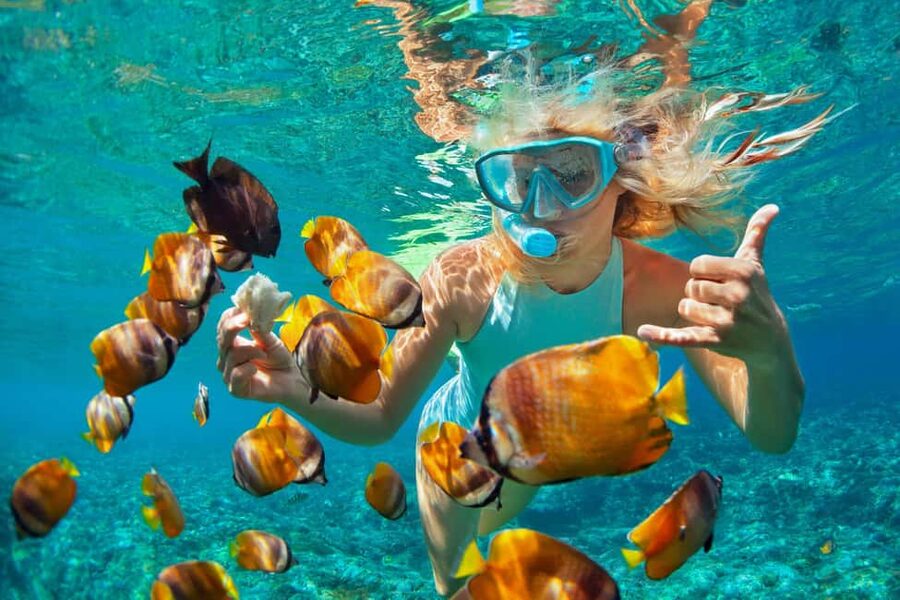 Puerto Plata: Catamaran Snorkeling Trip w/ Buffet & Open Bar - Key points before you book