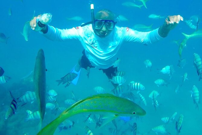 Puerto Plata : Party Boat Catamaran to Sosúa Bay - Key points before you book