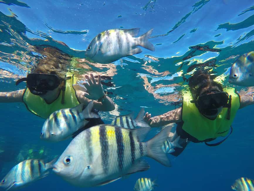 Puerto Plata: Sosúa Catamaran Day Trip with Lunch and Drinks - Cancellation and booking flexibility