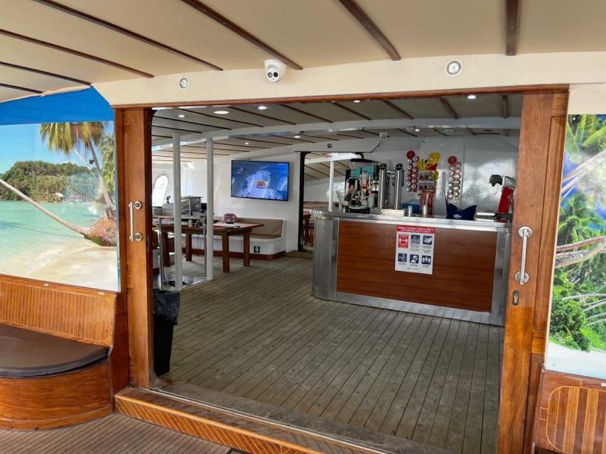 Puerto Rico : 2 hour Dolphin Catamaran Excursion - Should you book this Puerto Rico dolphin excursion?