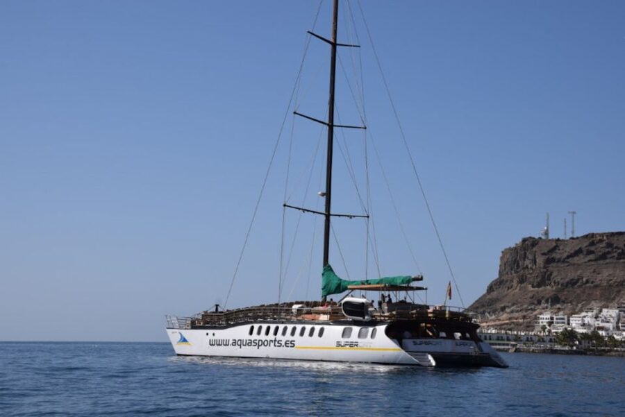 Puerto Rico : 2 hour Dolphin Catamaran Excursion - Setting out from Puerto Rico, Gran Canaria
