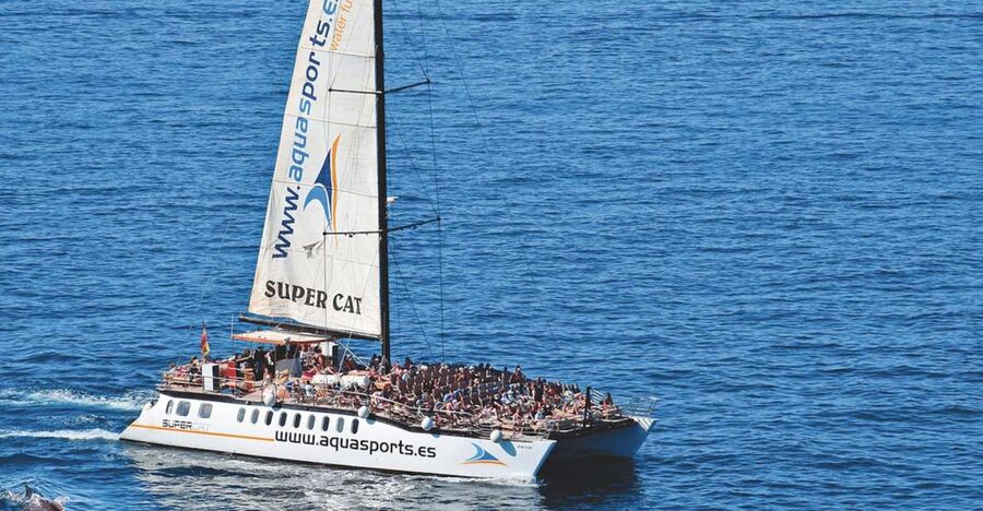 Puerto Rico : 2 hour Dolphin Catamaran Excursion - What the catamaran ride feels like