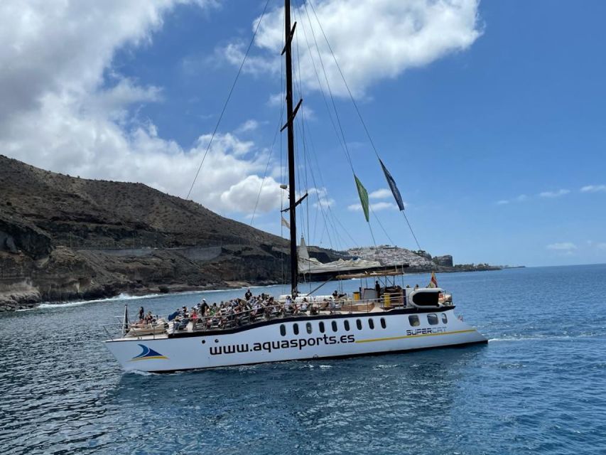 Puerto Rico : 2 hour Dolphin Catamaran Excursion - The value of the $41 price