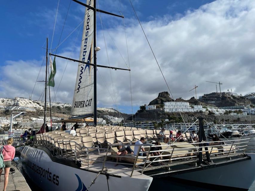 Puerto Rico : 2 hour Dolphin Catamaran Excursion - How to make the most of the two hours