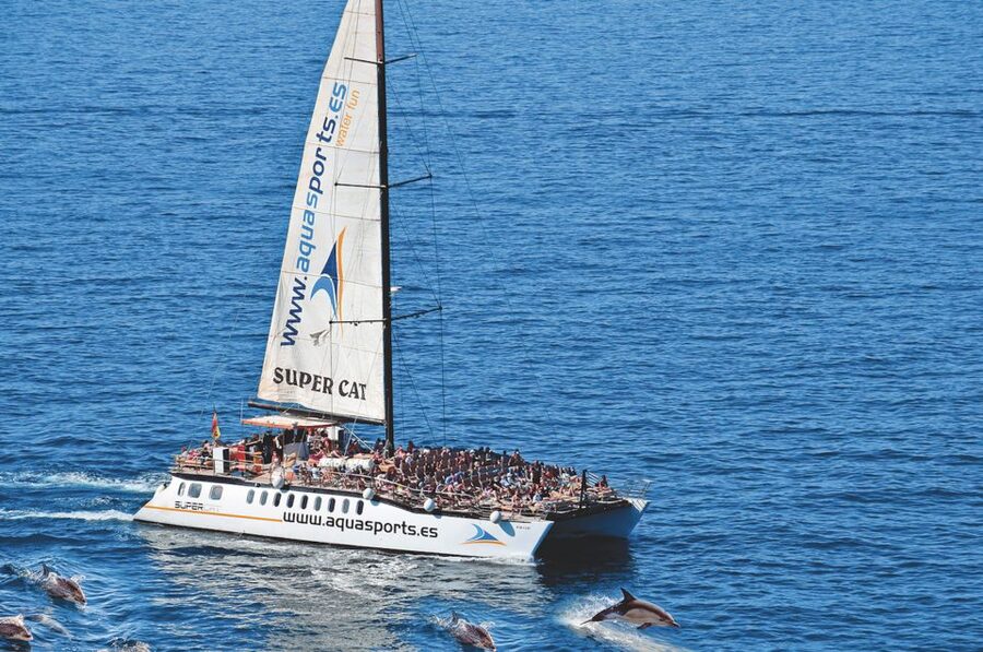 Puerto Rico : 2 hour Dolphin Catamaran Excursion - Two hours of open-water wildlife watching