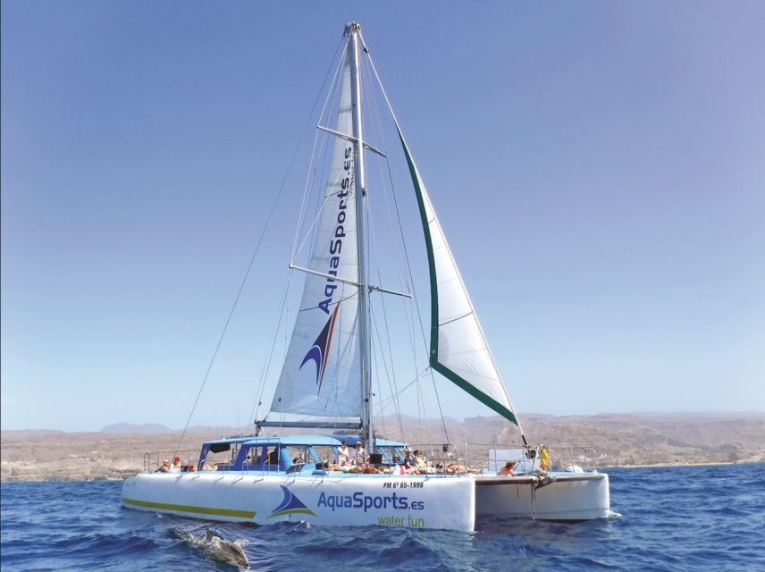 Puerto Rico: 4-Hour Catamaran Excursion in the South - Setting Out from Puerto Rico Base